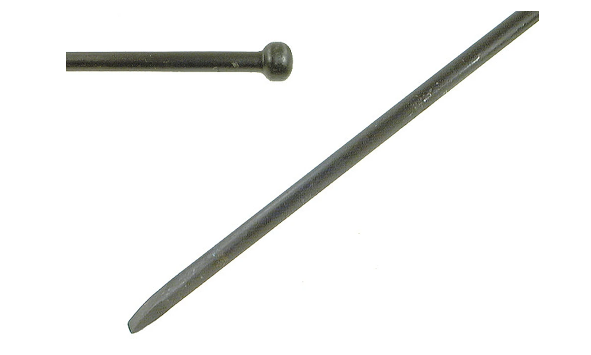 55462
